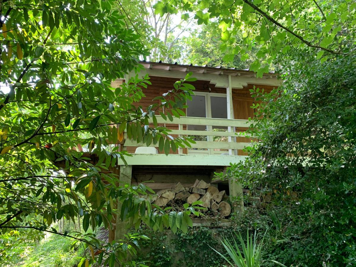 Chalet En Bord De Seine Villa Le Coudray-Montceaux ภายนอก รูปภาพ